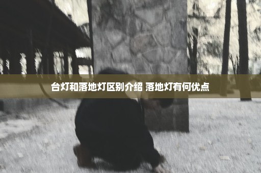台灯和落地灯区别介绍 落地灯有何优点