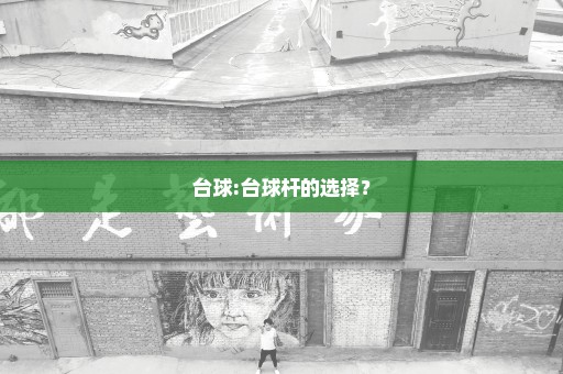 台球:台球杆的选择？