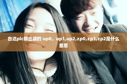 台达plc输出端的 up0，up1,up2,zp0,zp1,zp2是什么意思