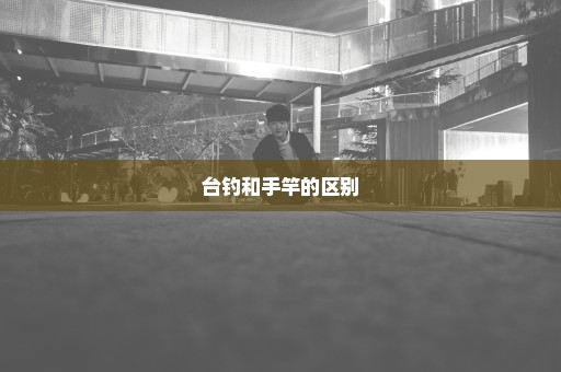 台钓和手竿的区别