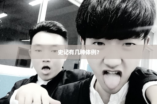 史记有几种体例？