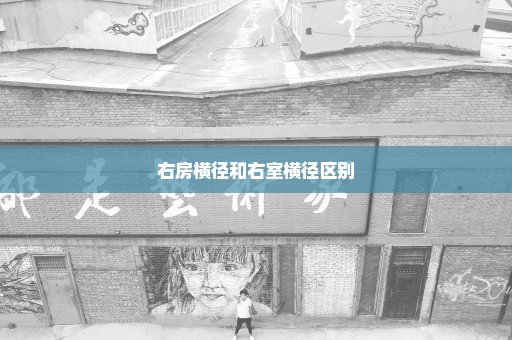 右房横径和右室横径区别