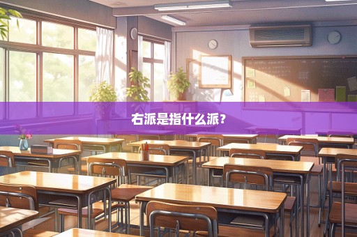 右派是指什么派？