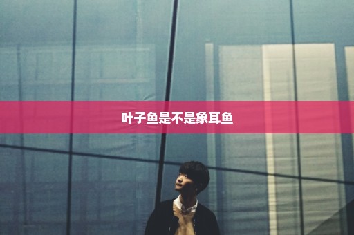 叶子鱼是不是象耳鱼