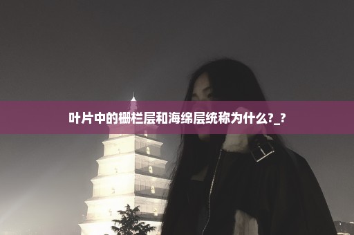 叶片中的栅栏层和海绵层统称为什么?_?