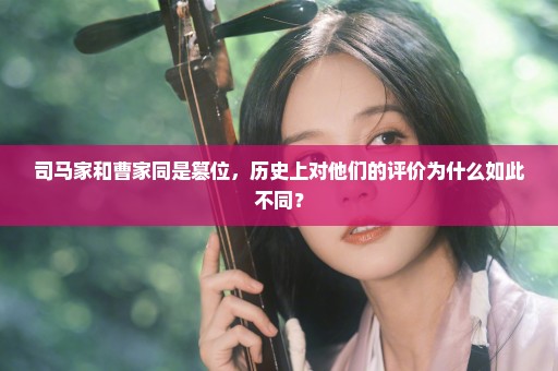 司马家和曹家同是篡位，历史上对他们的评价为什么如此不同？