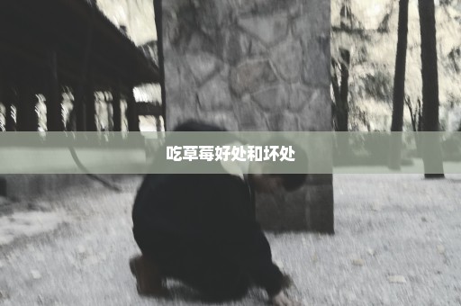 吃草莓好处和坏处
