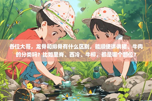 各位大哥，龙骨和排骨有什么区别，能顺便讲讲猪、牛肉的分类吗？比如里脊、西冷、牛柳，都是哪个部位？