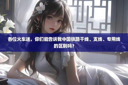 各位火车迷，你们能告诉我中国铁路干线、支线、专用线的区别吗？