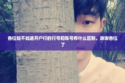 各位知不知道开户行的行号和账号有什么区别。谢谢各位了