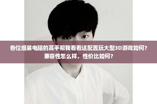 各位组装电脑的高手帮我看看这配置玩大型3D游戏如何？兼容性怎么样，性价比如何？