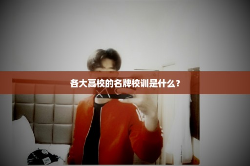 各大高校的名牌校训是什么？