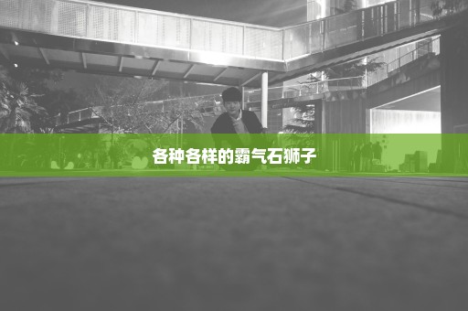 各种各样的霸气石狮子