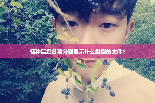 各种后缀名称分别表示什么类型的文件？
