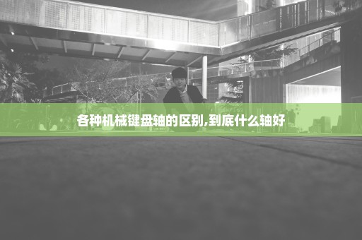 各种机械键盘轴的区别,到底什么轴好