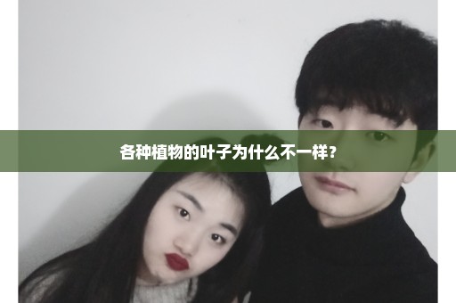 各种植物的叶子为什么不一样？