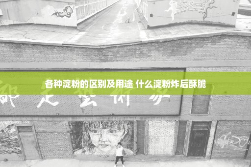 各种淀粉的区别及用途 什么淀粉炸后酥脆