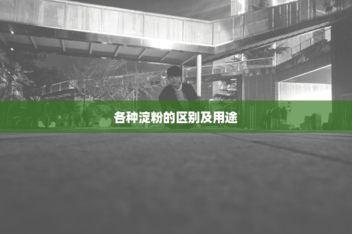 各种淀粉的区别及用途