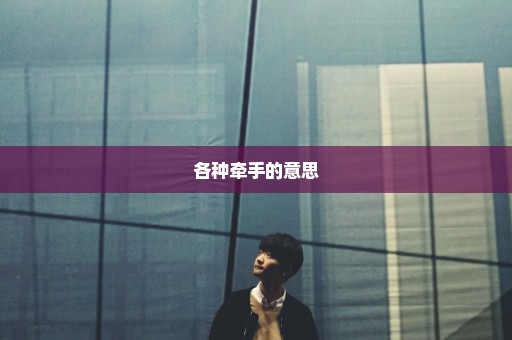 各种牵手的意思