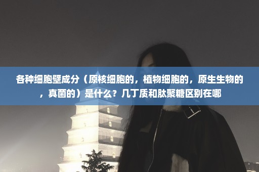 各种细胞壁成分（原核细胞的，植物细胞的，原生生物的，真菌的）是什么？几丁质和肽聚糖区别在哪