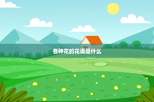 各种花的花语是什么