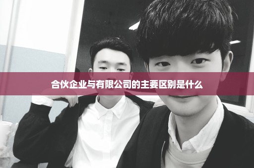合伙企业与有限公司的主要区别是什么