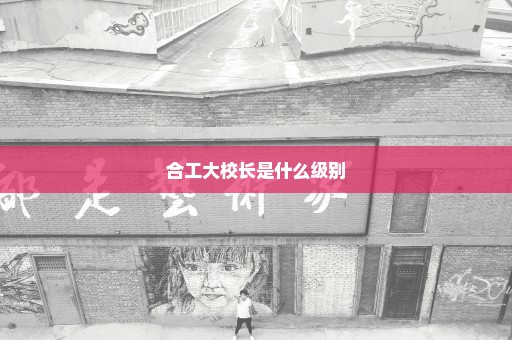 合工大校长是什么级别