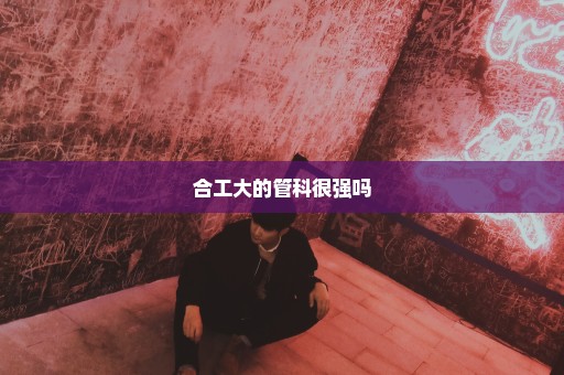 合工大的管科很强吗