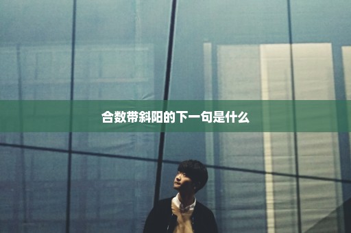 合数带斜阳的下一句是什么