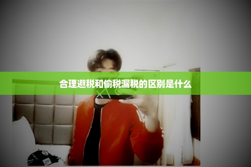合理避税和偷税漏税的区别是什么