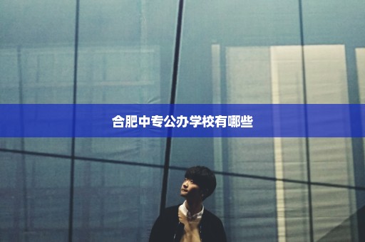 合肥中专公办学校有哪些