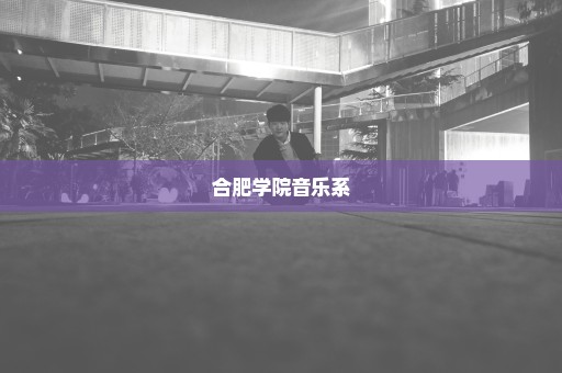 合肥学院音乐系