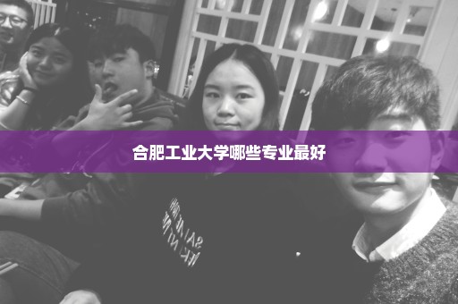 合肥工业大学哪些专业最好