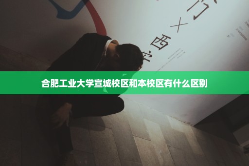 合肥工业大学宣城校区和本校区有什么区别