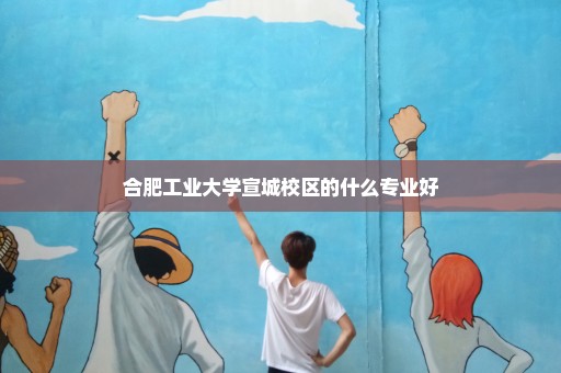 合肥工业大学宣城校区的什么专业好
