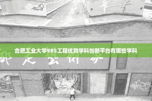 合肥工业大学985工程优势学科创新平台有哪些学科