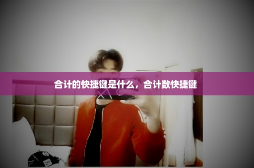 合计的快捷键是什么，合计数快捷键 