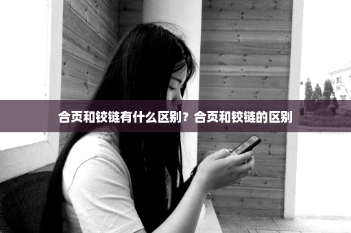 合页和铰链有什么区别？合页和铰链的区别