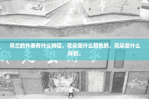 吊兰的外表有什么特征，花朵是什么颜色的，花朵是什么样的。
