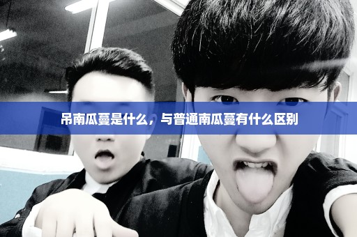 吊南瓜蔓是什么，与普通南瓜蔓有什么区别