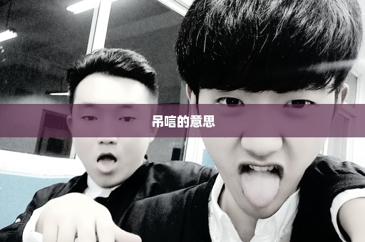 吊唁的意思