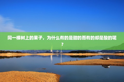 同一棵树上的果子，为什么有的是甜的而有的却是酸的呢？