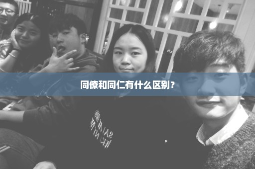 同僚和同仁有什么区别？