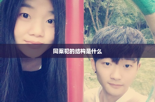 同案犯的结构是什么