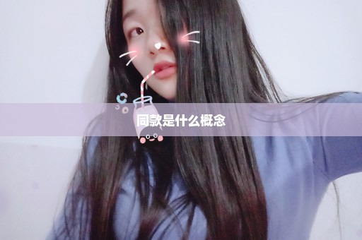 同款是什么概念