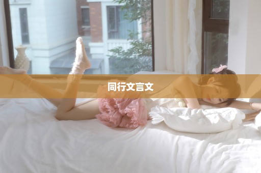 同行文言文