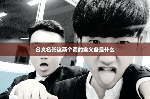 名义名誉这两个词的含义各是什么