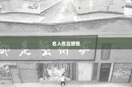 名人名言感悟