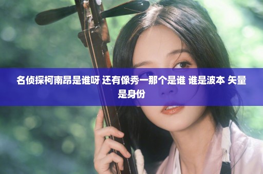 名侦探柯南昂是谁呀 还有像秀一那个是谁 谁是波本 矢量是身份