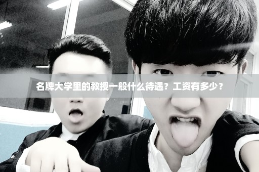 名牌大学里的教授一般什么待遇？工资有多少？